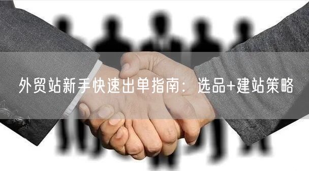外贸站新手快速出单指南:选品+建站策略(图1) <a href=