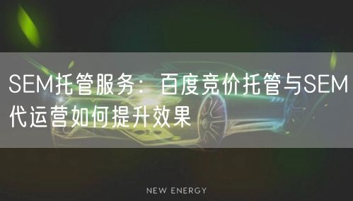 SEM托管服务