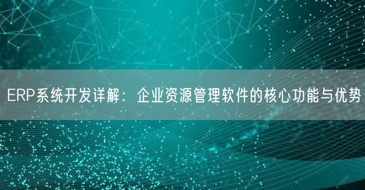 ERP系统开发