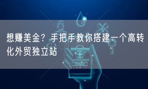 外贸独立站搭建指南：高转化网站教你赚美金