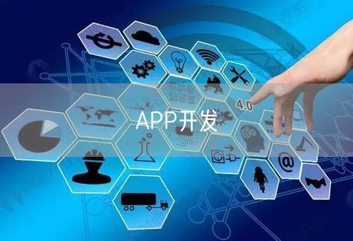 APP开发(图1)